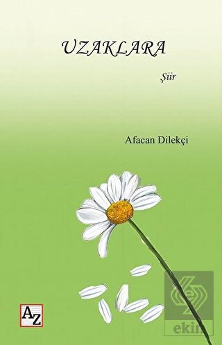 In die Ferne