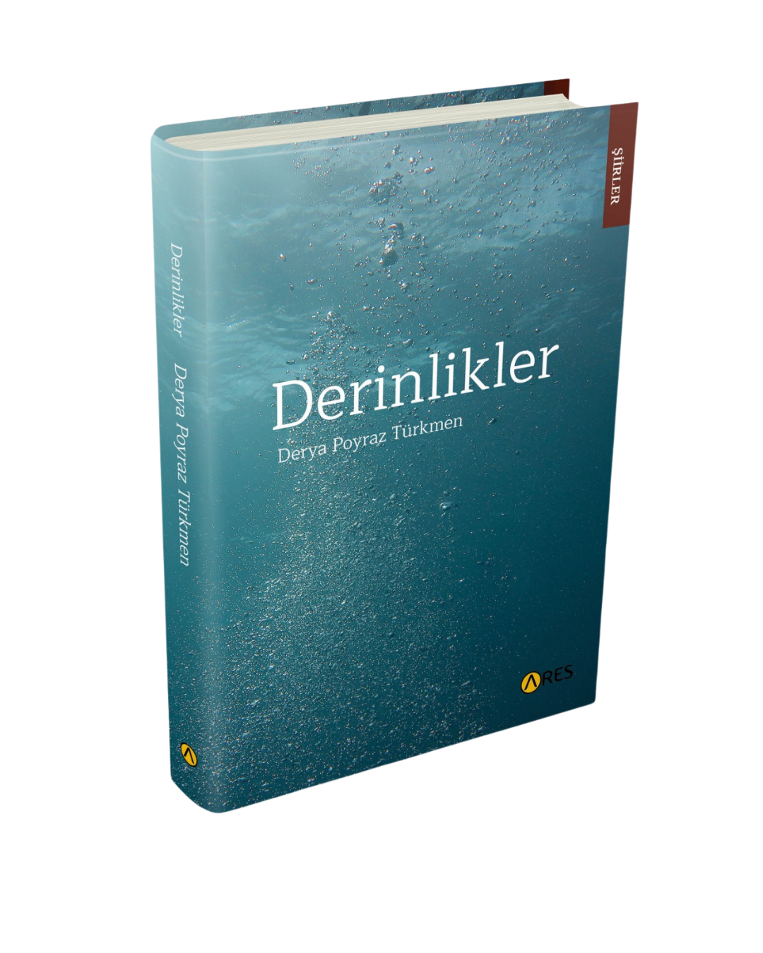 Derinlikler - Derya Poyraz Türkmen