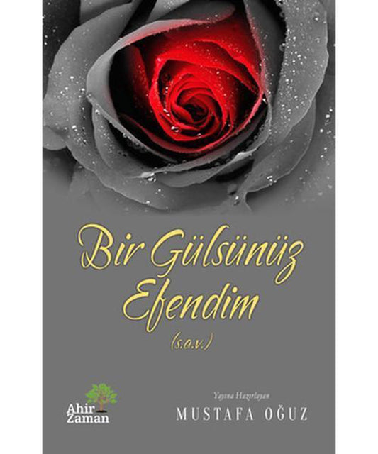 Bir Gülsünüz Efendim