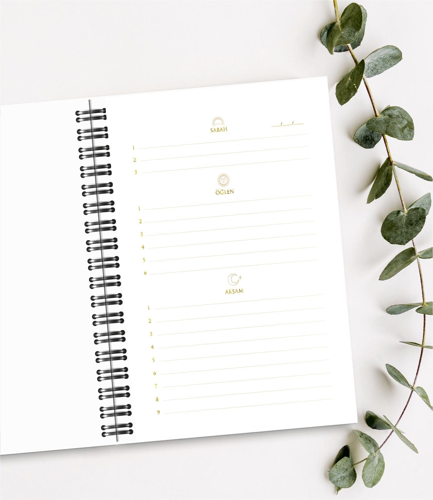 Manifest Planlayıcı- Nikola Tesla & 3 6 9 Defteri